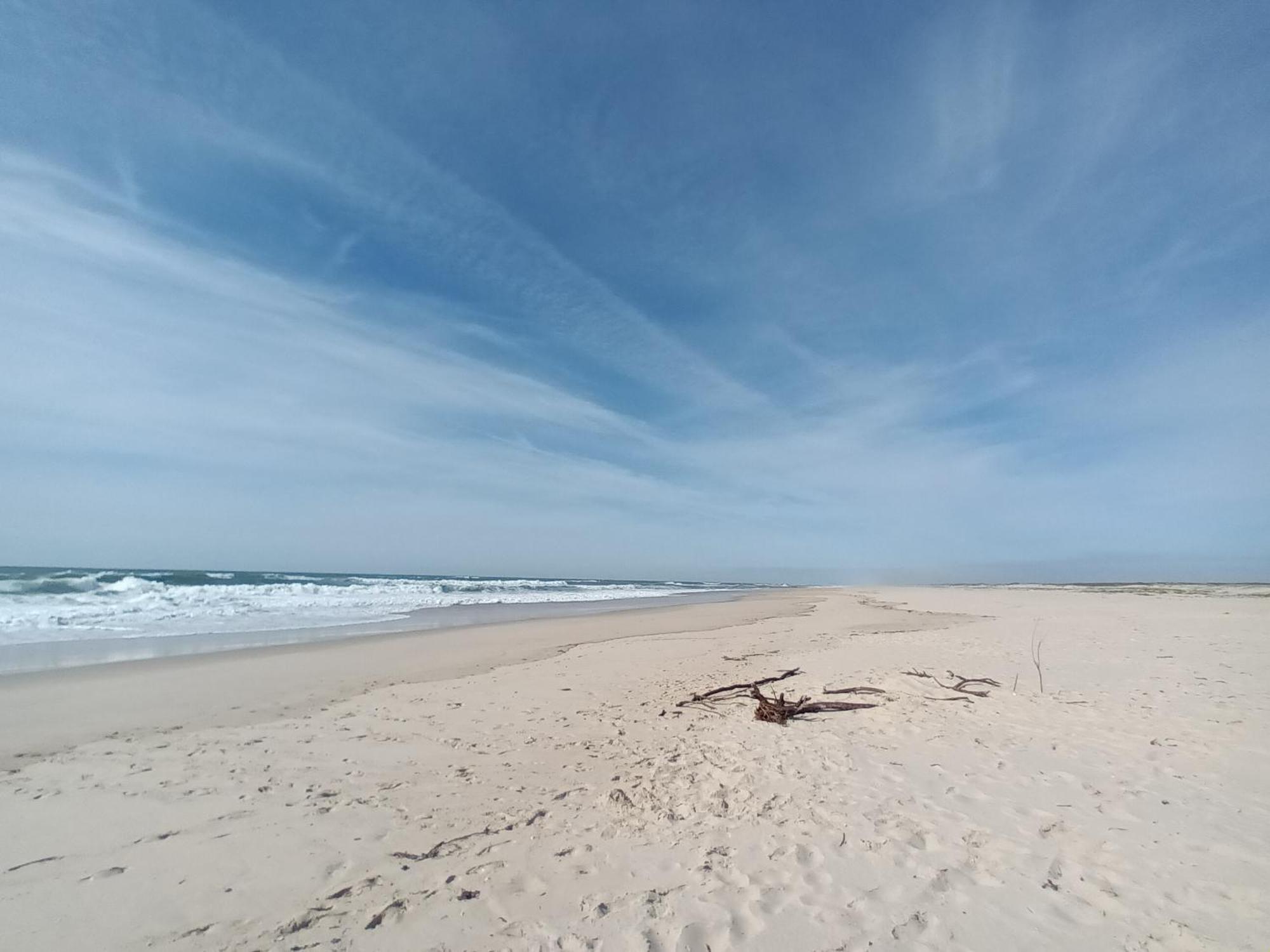 Apartment Close To The Ria De Aveiro, Sao Jacinto Ngoại thất bức ảnh