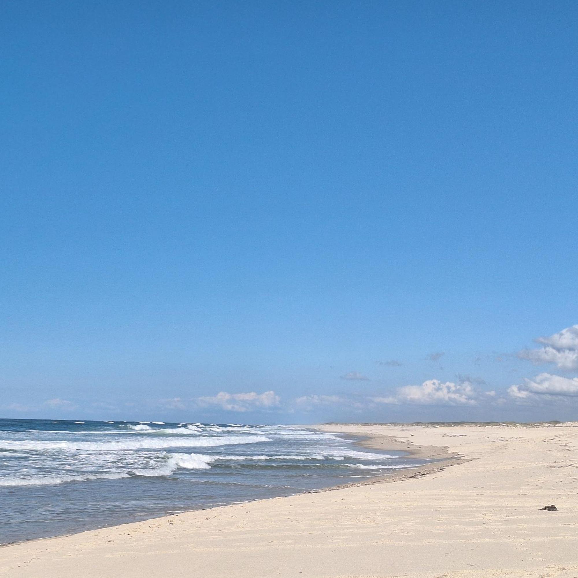 Apartment Close To The Ria De Aveiro, Sao Jacinto Ngoại thất bức ảnh